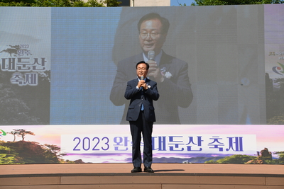 대둔산축제(131).JPG
