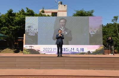 대둔산축제(132).JPG