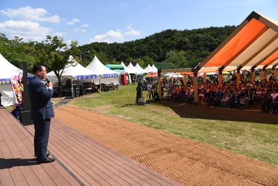 대둔산축제(136).JPG