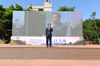 대둔산축제(140).JPG