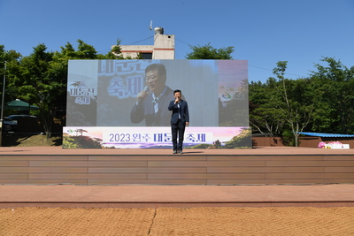 대둔산축제(148).JPG