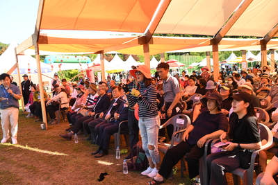 대둔산축제(177).JPG