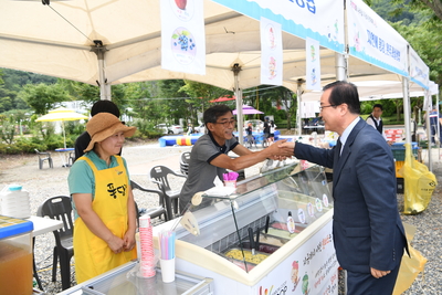 나라꽃무궁화완주축제(25).JPG