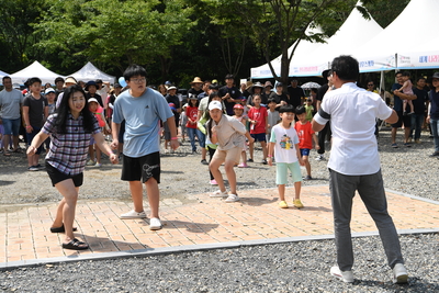 나라꽃무궁화완주축제(95).JPG