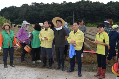 용진읍사랑의배추모심기(58).JPG