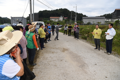 용진읍사랑의배추모심기(62).JPG