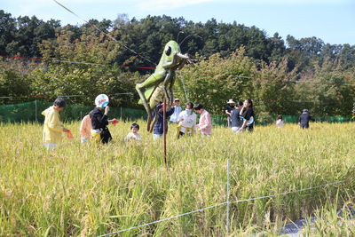 와푸1일차(180).JPG