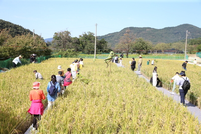 와푸1일차(181).JPG
