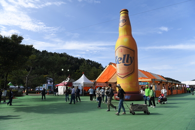 와푸1일차(411).JPG