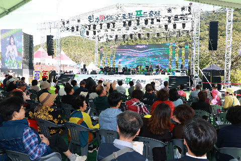완주 실버가요제 (17).JPG