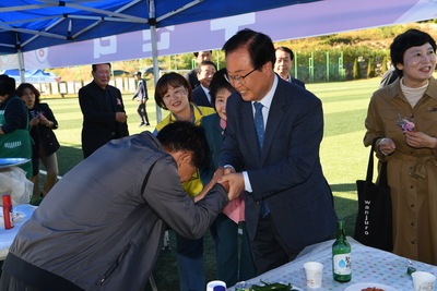 비봉면민의날(12).JPG