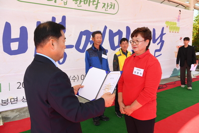 비봉면민의날(78).JPG