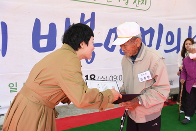 비봉면민의날(95).JPG