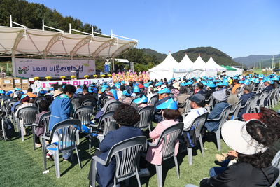 비봉면민의날(113).JPG