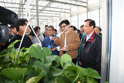 계절근로자근로활동현장방문(56).JPG