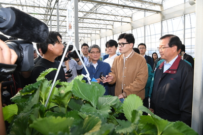 계절근로자근로활동현장방문(61).JPG