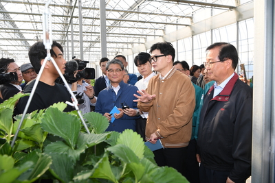 계절근로자근로활동현장방문(62).JPG