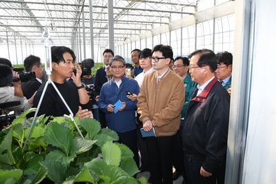 계절근로자근로활동현장방문(65).JPG