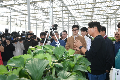 계절근로자근로활동현장방문(69).JPG