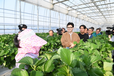 계절근로자근로활동현장방문(78).JPG