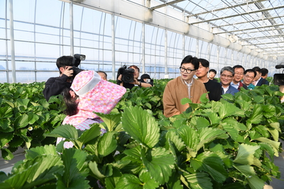계절근로자근로활동현장방문(79).JPG