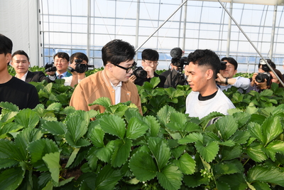 계절근로자근로활동현장방문(80).JPG