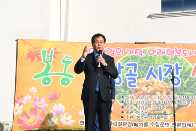 봉동테마생강축제(18).JPG