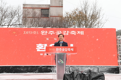 제9회완주곶감축제(8).JPG