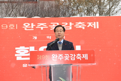 제9회완주곶감축제(9).JPG