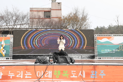 제9회완주곶감축제(26).JPG