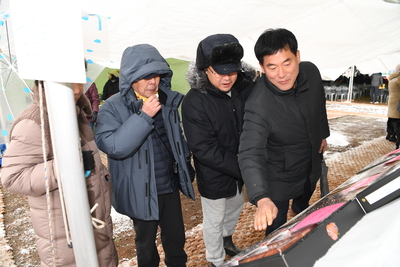 제9회완주곶감축제(31).JPG