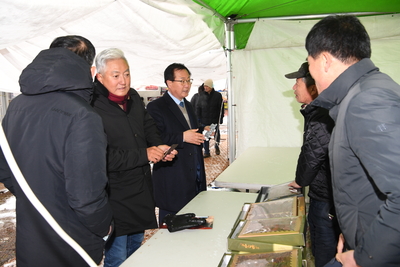 제9회완주곶감축제(43).JPG