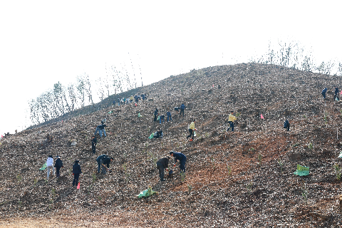 식목일기념 나무심기 행사 (56).JPG