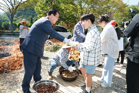 감자삼굿 (13).JPG