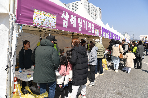 삼례딸기축제 (28).JPG