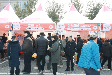 곶감축제3일차 (5).JPG