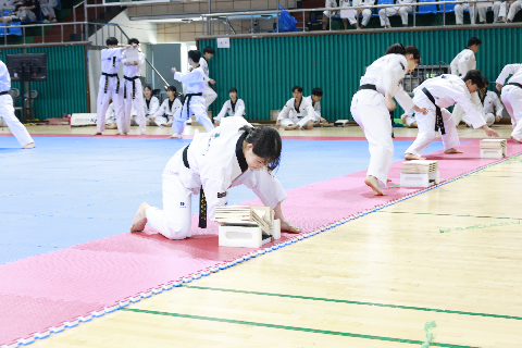 우석대총장기 전국태권도대회 (64).JPG