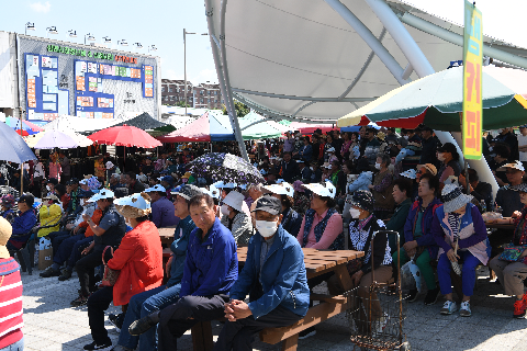 전통시장 와글와글 시장 가요제 (1).JPG