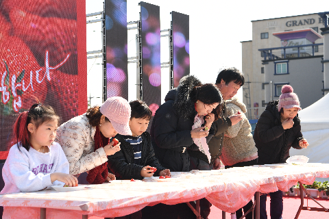 삼례딸기축제 (93).JPG