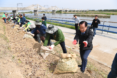 삼례읍 상사화심기 (36).JPG