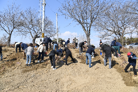 식목일행사 (48).JPG