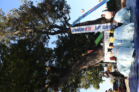 10.10 봉동읍민의날 당산제 (26).JPG