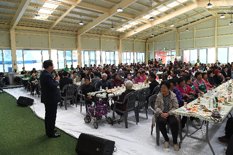 비봉면 효사랑 한마당 (16).JPG