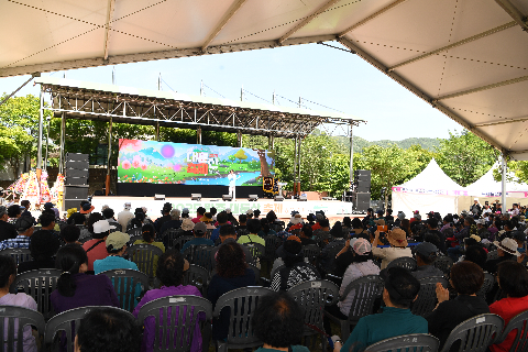 대둔산축제 (57).JPG
