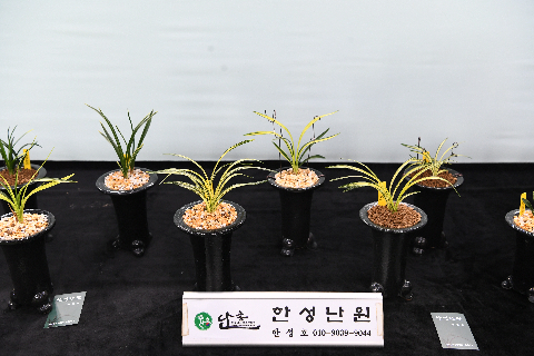 전북특별자치도 난 산업 박람회 (5).JPG