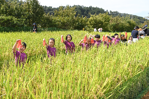 와푸1 (91).JPG