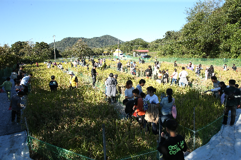 와푸 1일차 (151).JPG