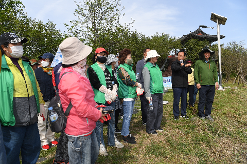 삼례읍 상사화심기 (16).JPG