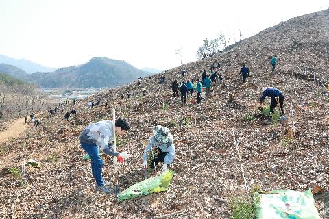 식목일기념 나무심기 행사 (62).JPG