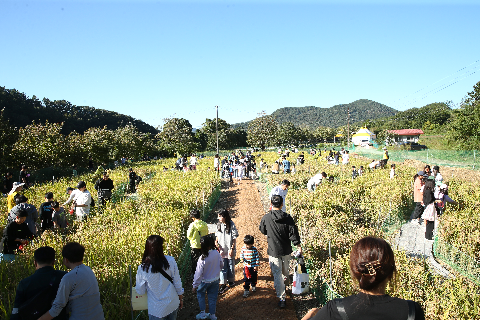 와푸 1일차 (153).JPG